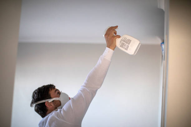 Best Commercial Mold Removal  in Towaco, NJ